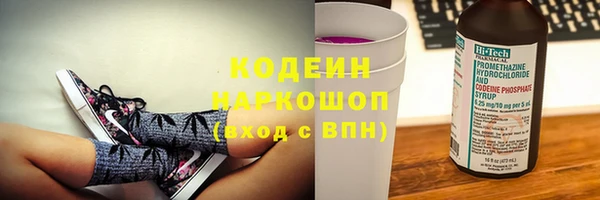 гашик Алексин
