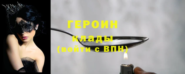 гашик Алексин