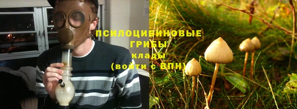 гашик Алексин