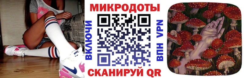 Галлюциногенные грибы Cubensis  закладки  Злынка 